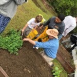 a group of people in a garden