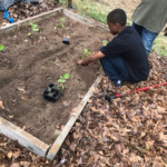 a man that is standing in the dirt