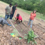 a group of people standing in the dirt