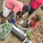 adults and kids gardening