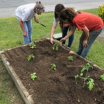 a group of people in a garden