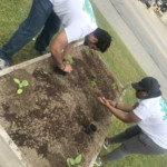 two people gardening