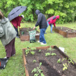 a group of people in a garden