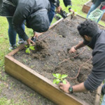 people gardening