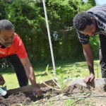 two adults planting in the garden