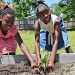 two kids planting in the garden