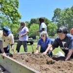 a group of people tending garden boxes in a field