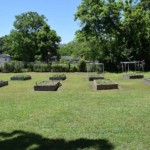 garden boxes in a field