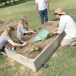 a group of people gardening