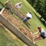 group gardening